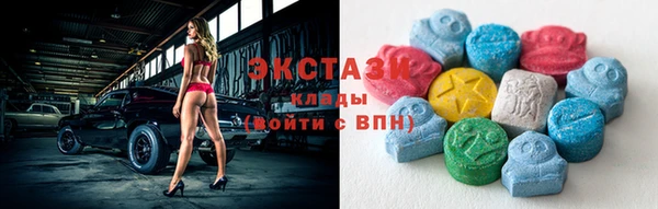 гашик Краснослободск