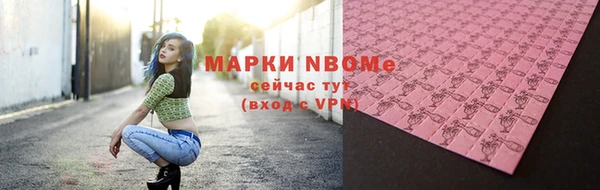 гашик Краснослободск