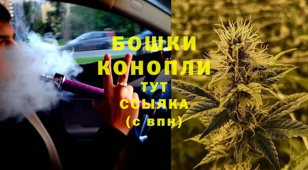 сатива Красноперекопск