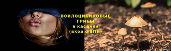 гашик Краснослободск