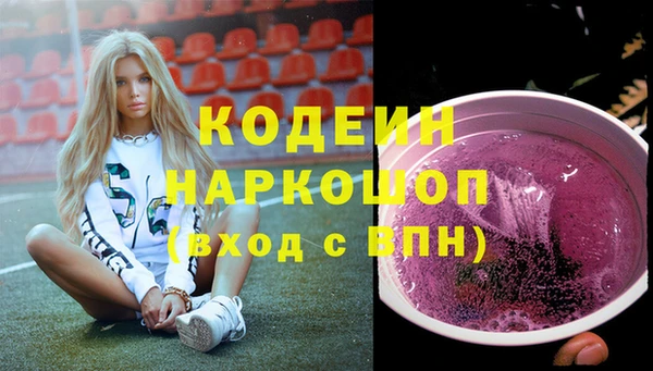 гашик Краснослободск