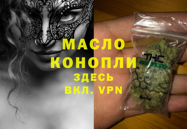 гашик Краснослободск