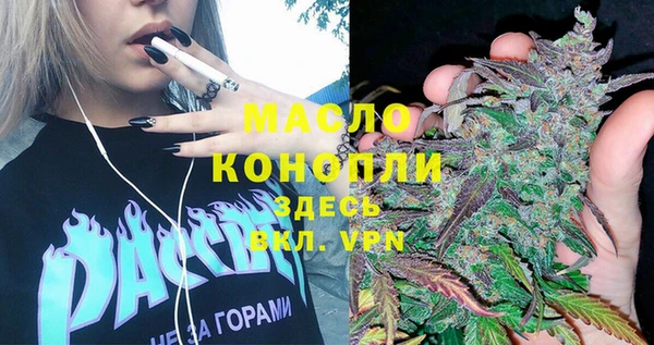 гашик Краснослободск