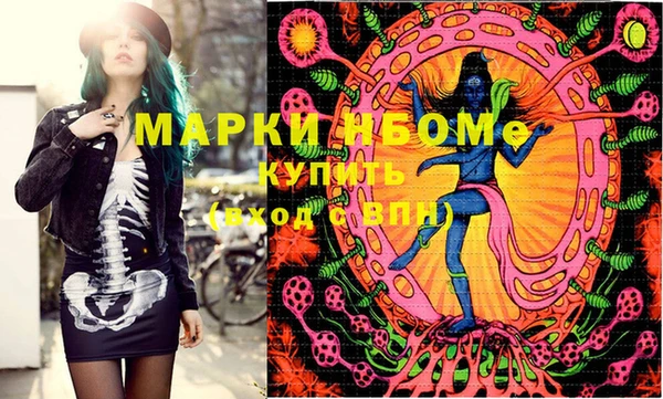 гашик Краснослободск