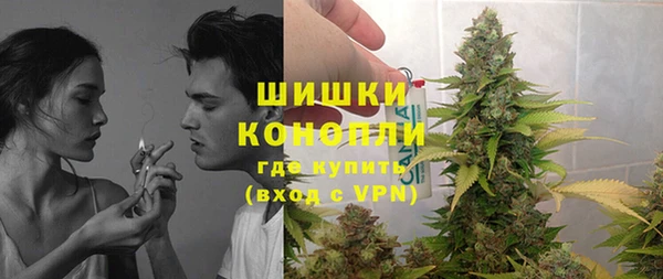 гашик Краснослободск