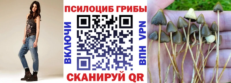 наркошоп Ижевск Галлюциногенные грибы MAGIC MUSHROOMS