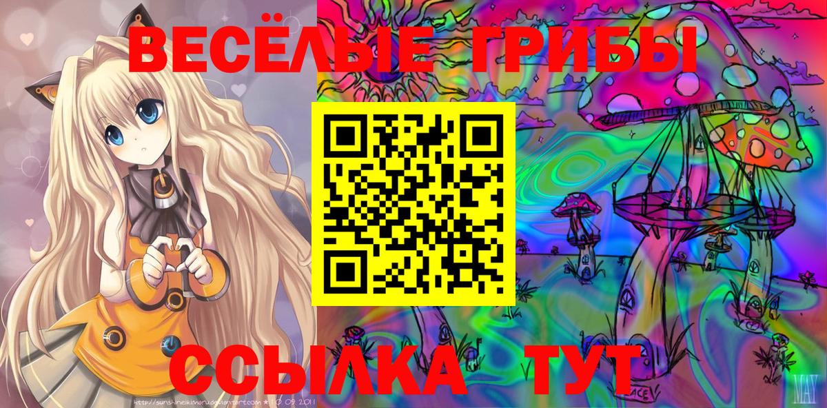 Ижевск  Галлюциногенные грибы Psilocybe  Псилоцибиновые грибы прущие грибы  Вход с VPN 