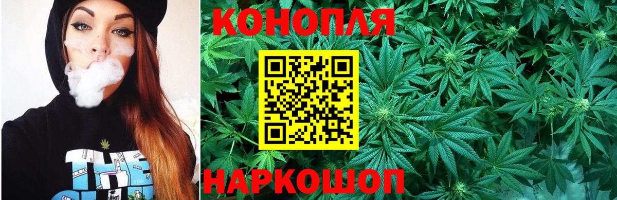 Бошки Шишки сатива Ижевск